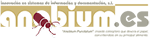 Anobium
